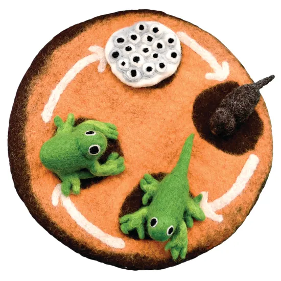 Felt Lifecycle of a Frog