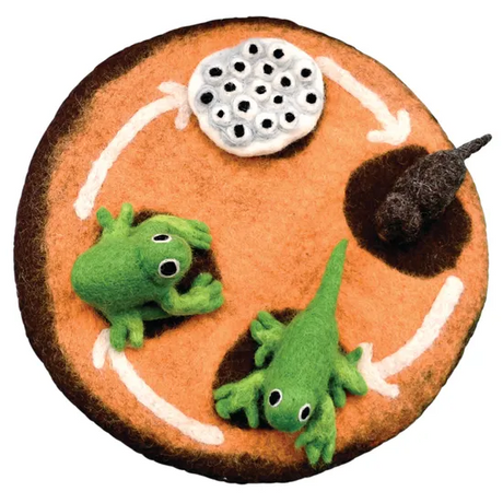 Felt Lifecycle of a Frog