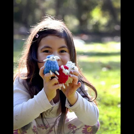 Green Sheep 5 Set - Modern Teaching Aids NZ