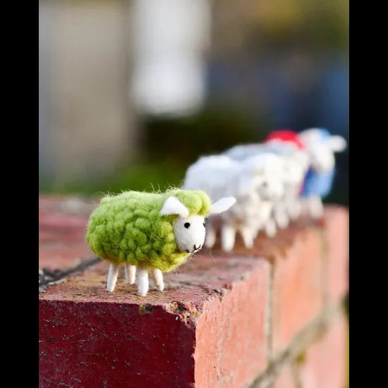 Green Sheep 5 Set - Modern Teaching Aids NZ