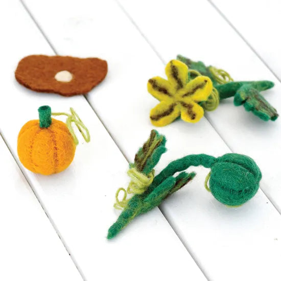 Felt Lifecycle of Pumpkin