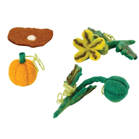 Felt Lifecycle of Pumpkin