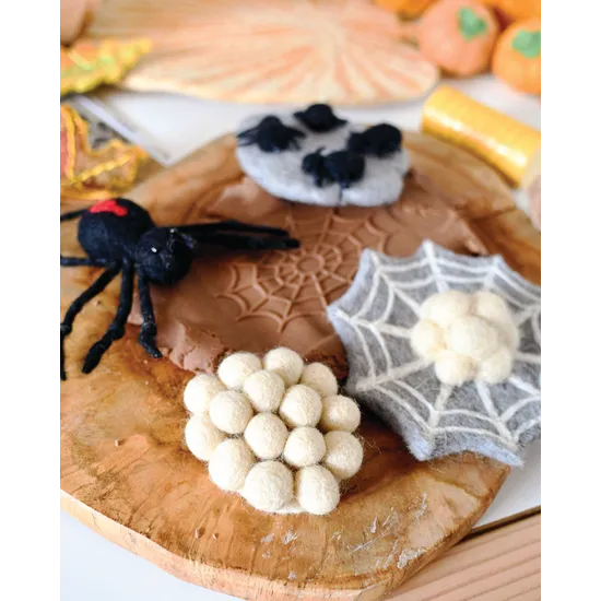 Felt Lifecycle of Redback Spider