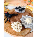 Felt Lifecycle of Redback Spider