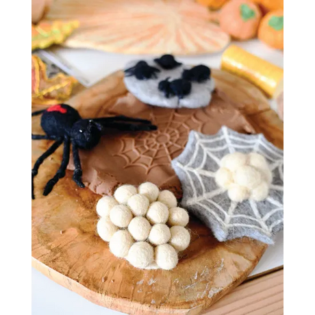 Felt Lifecycle of Redback Spider