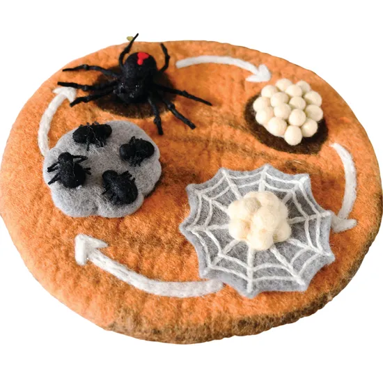 Felt Lifecycle of Redback Spider