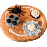 Felt Lifecycle of Redback Spider