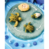 Felt Lifecycle of Green Sea Turtle