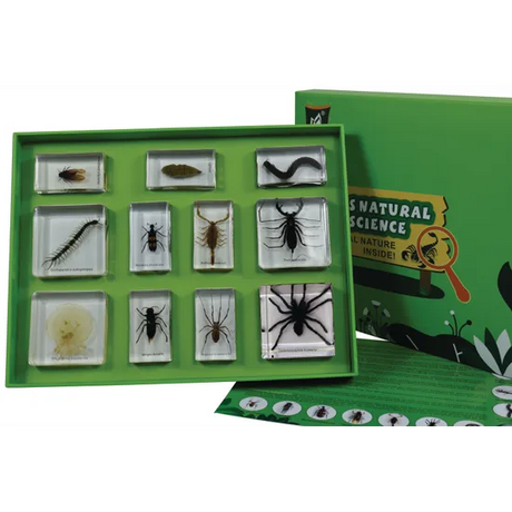 Poisonous Animal Kits