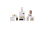 Animal Evolution Set - Modern Teaching Aids NZ