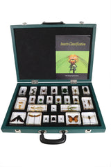 Insect Classification Set - Modern Teaching Aids NZ
