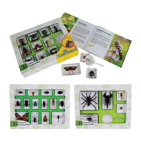 Jumbo Insects and Spiders Specimen Kit