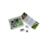 SPIDERS AND SCORPIANS