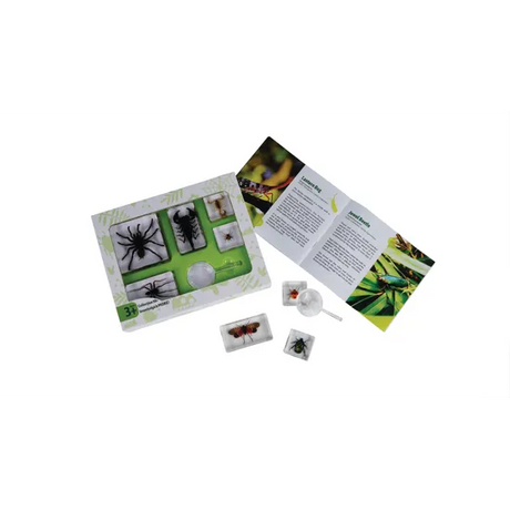 SPIDERS AND SCORPIANS