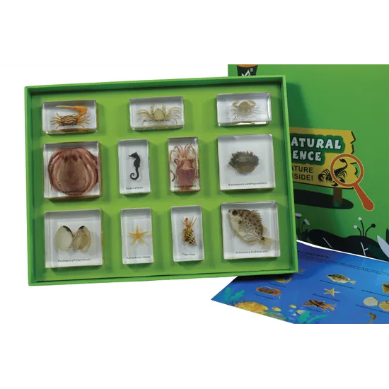 Marine Animal Kit