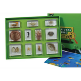 Marine Animal Kit