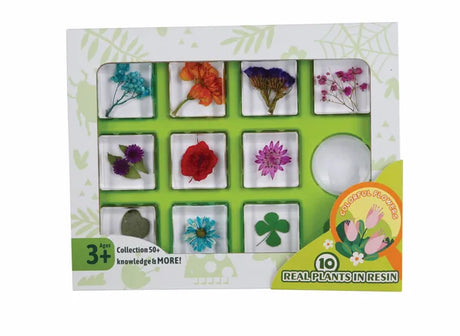 Colourful Flowers - Modern Teaching Aids NZ