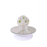 Life Cycle of the Honeybee