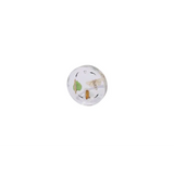 Life Cycle of the Silkworm - Modern Teaching Aids NZ