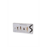 Anthropod Set - Modern Teaching Aids NZ