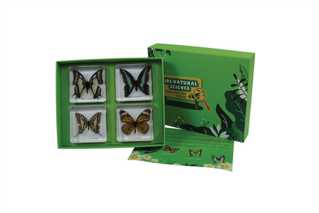Butterflies - Modern Teaching Aids NZ