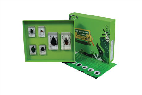 Chafer Beetles - Modern Teaching Aids NZ