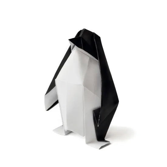 Black Cover Paper A4 120 gsm - Pack of 500