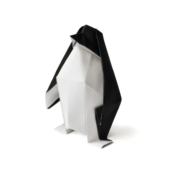 Black Cover Paper A4 120gsm - Pack of 250 - Modern Teaching Aids NZ