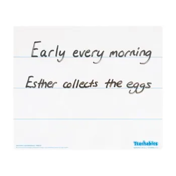 Lined Write & Wipe Classroom Kit - Modern Teaching Aids NZ