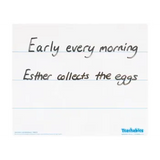 Lined Write & Wipe Classroom Kit - Modern Teaching Aids NZ