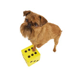 Teachables Foam Dice - 6-Face, 150 mm, Dotted - Modern Teaching Aids NZ