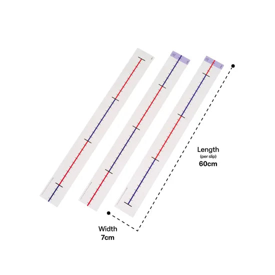 Teachables Number Line Strip - 0 to 100 - Modern Teaching Aids NZ