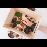 Wooden Feely Box - Modern Teaching Aids NZ