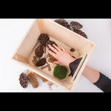 Wooden Feely Box - Modern Teaching Aids NZ