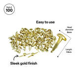 Paper Fasteners Split Pins 1.9cm - Pack of 100 - Modern Teaching Aids NZ