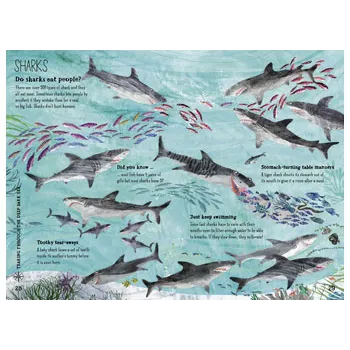 The Big Book Of The Blue - Modern Teaching Aids NZ