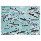 The Big Book Of The Blue - Modern Teaching Aids NZ