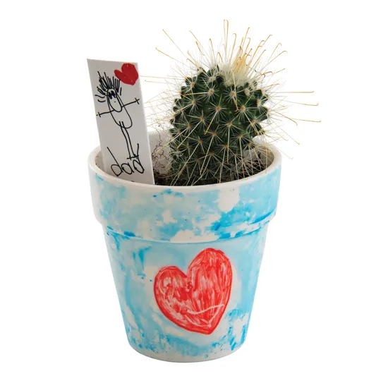 Porcelain Flower Pot - Pack of 4 - Modern Teaching Aids NZ