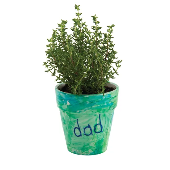 Porcelain Flower Pot - Pack of 4 - Modern Teaching Aids NZ