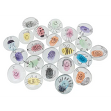 Glass Stones - Pack of 25 - Modern Teaching Aids NZ