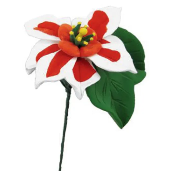 Paper Magiclay 240g 6 Colours - Modern Teaching Aids NZ