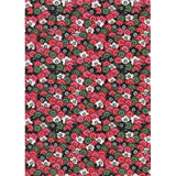 Oriental Paper A4 - Pack of 40 - Modern Teaching Aids NZ