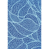 Sunpaper Kit - UV Reacting Paper - Modern Teaching Aids NZ