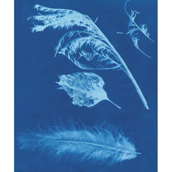 Sunpaper Kit - UV Reacting Paper - Modern Teaching Aids NZ