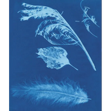 Sunpaper Kit - UV Reacting Paper - Modern Teaching Aids NZ