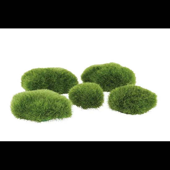 Grassy Stones -  Set of 5 - Modern Teaching Aids NZ