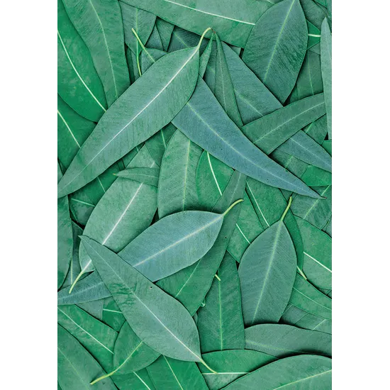 Foliage Pattern Paper A4 - Pack of 40 - Modern Teaching Aids NZ