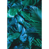 Foliage Pattern Paper A4 - Pack of 40 - Modern Teaching Aids NZ