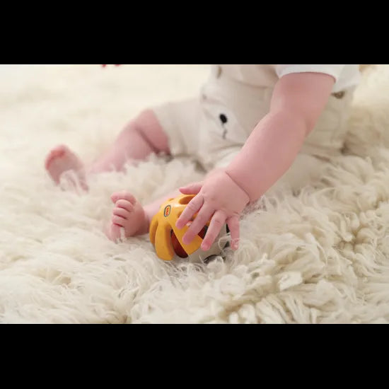 Bio Roller Rattle - Modern Teaching Aids NZ