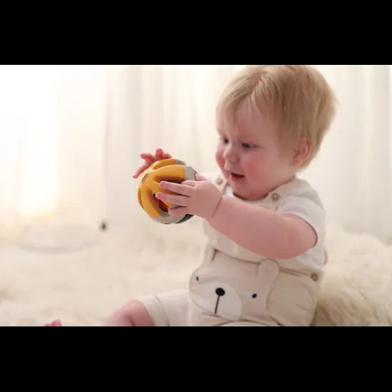 Bio Roller Rattle - Modern Teaching Aids NZ